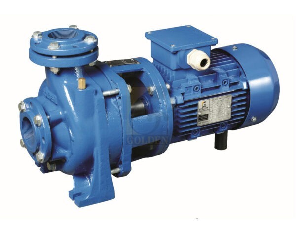Golden 3Hp Mono Block Pump