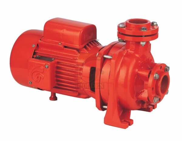 Golden 2.5Hp Mono Block Pump