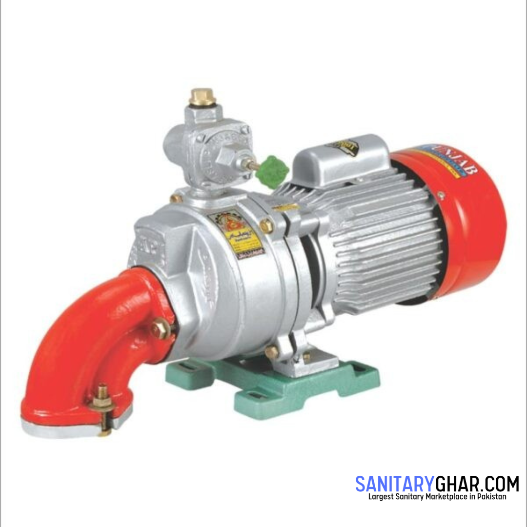 Asli Punjab 0.75Hp Deep Well Pump (80 FT)