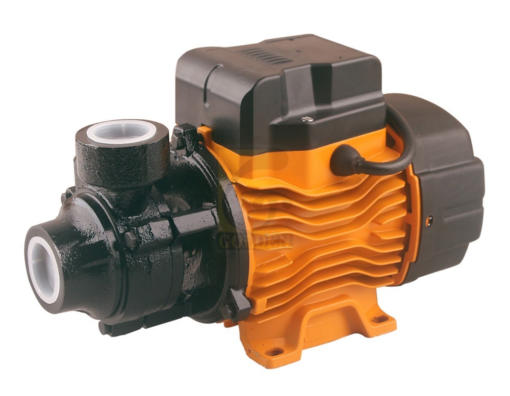 Golden 1Hp Peripheral Pump